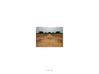 Commercial Land for Sale in Telangana